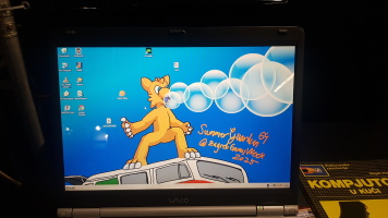 ShinyZGW2025 art on screen